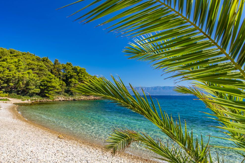 Peljesac-félsziget Uvala Divna strand