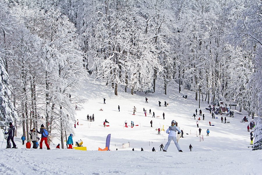 Medvednica-hegység