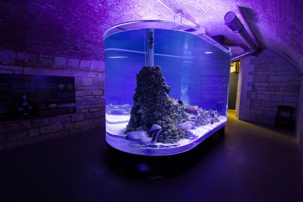 Pulai Aquarium