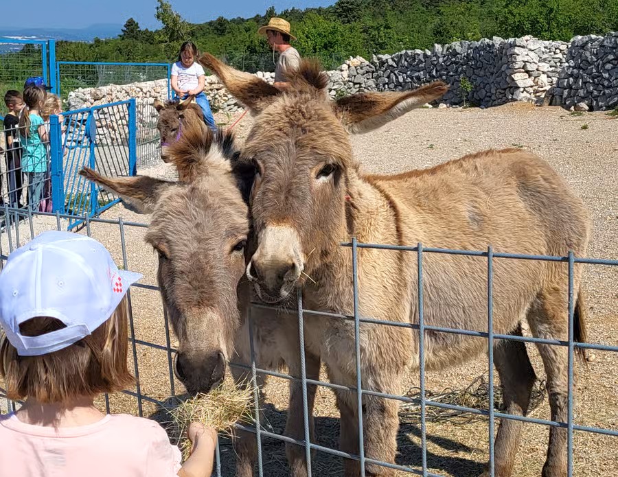 Rijeka Mini Zoo