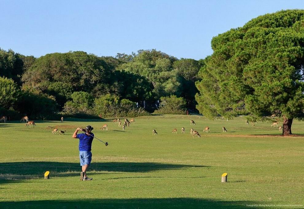 Brijuni Nemzeti Park - golf