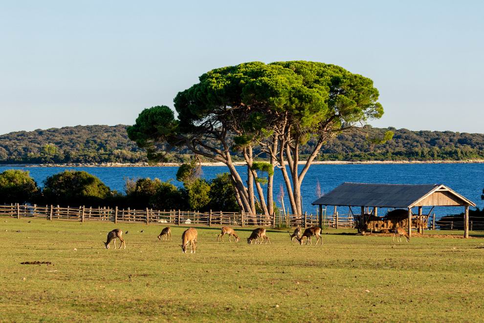 Brijuni Nemzeti Park, Szafari park