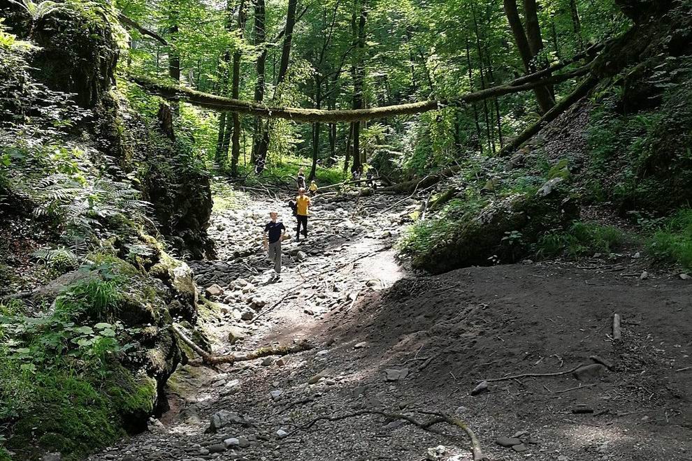 Risnjak Nemzeti Park