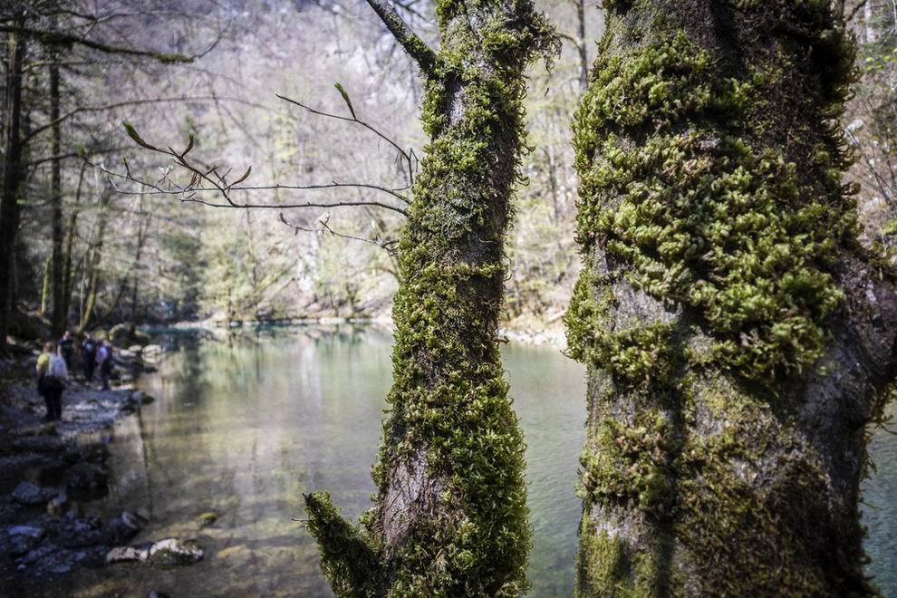 Risnjak Nemzeti Park