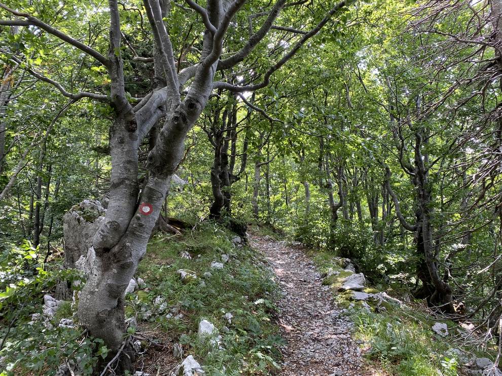 Risnjak Nemzeti Park