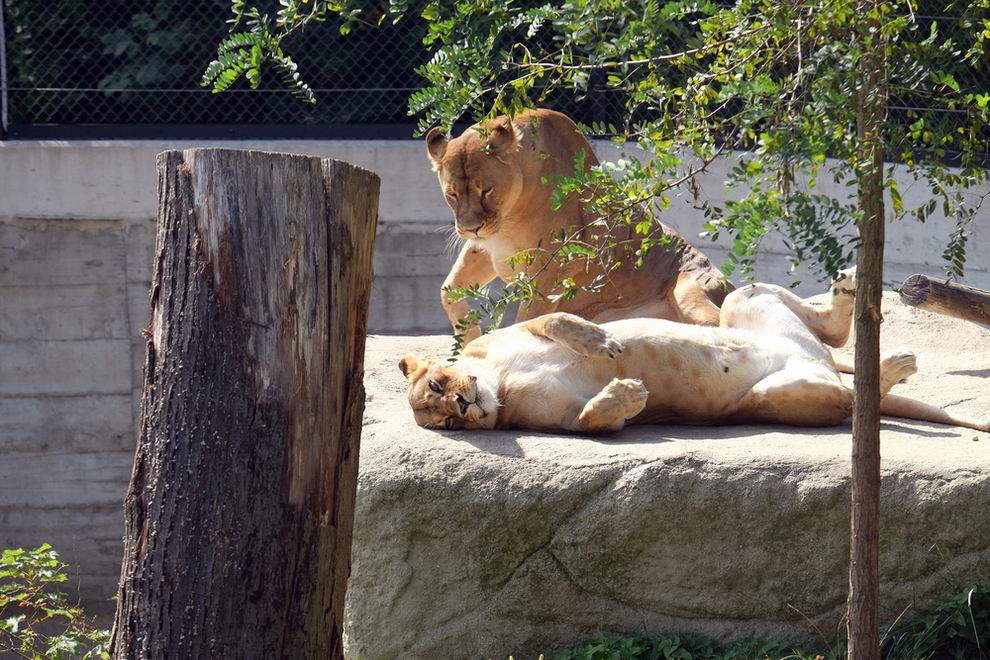 Zagreb Zoo